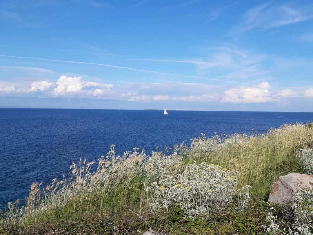 Ferienwohnung Dairos Mali Lošinj Exterior foto