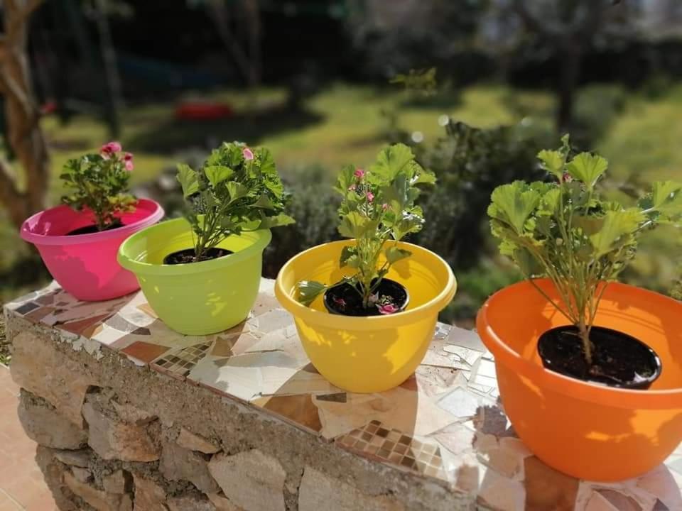 Ferienwohnung Dairos Mali Lošinj Exterior foto